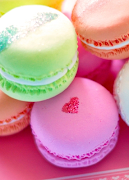 برنامه‌نما Wall Wonder عکس از صفحه