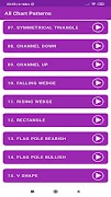 Chart Patterns : 100+ Patterns 스크린샷 3