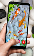 KOI Fish Live Wallpaper: New Fish Wallpaper 2020 تصوير الشاشة 3