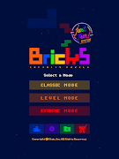 Fun! Bricks скриншот 6
