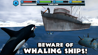 Orca Simulator screenshot 2