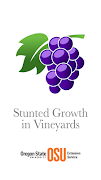 Poster Vineyard Growth
