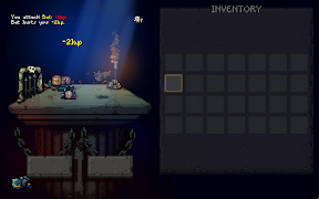 Sir Questionnaire screenshot 5