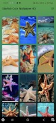 Starfish Cute Wallpaper HD screenshot 7
