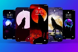 Wolf Wallpaper HD screenshot 4