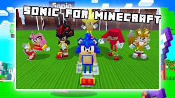 Sonic mod for Hedgehog MCPE Screenshot 2