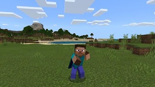 Animation Minecraft Mod screenshot 1