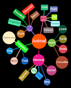 Mind Map 6 स्क्रीनशॉट 7