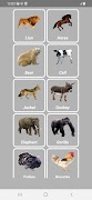 Animal Sounds اسکرین شاٹ 1