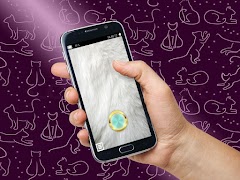 Cat Lovers Flashlight screenshot 5