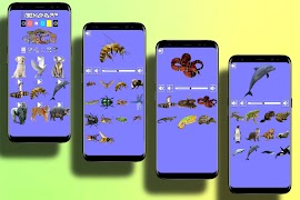 Animal Sounds screenshot 3