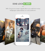 برنامه‌نما Dog Lock Screen عکس از صفحه