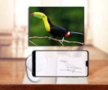 Drawing Sketch And Trace screenshot 2