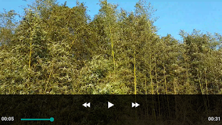 AM Player screenshot 4