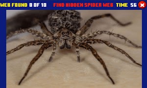 Spider Hidden Difference ภาพหน้าจอ 2