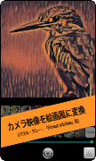 Painting camera poster