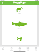 MycoMan screenshot 7