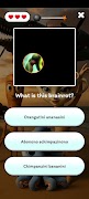 برنامه‌نما Guess BrainRot عکس از صفحه