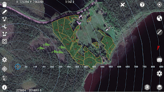 Walter Maps скриншот 1