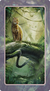 Leopard Wallpaper 截圖 7