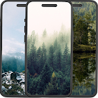 Forest Wallpapers icon