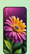4 Schermata Flower Images