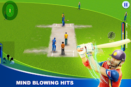 3 Schermata World Cricket 2017