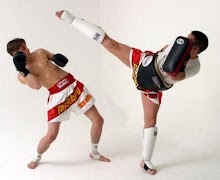 Best Kickboxing Technique syot layar 6