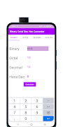 Bin Oct Dec Hex Converter 截图 1