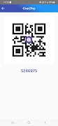 Chat2Pay screenshot 2