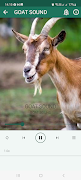 Animal Sounds screenshot 7