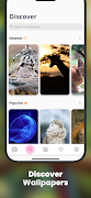 Animal Wallpapers HD | 4K screenshot 4