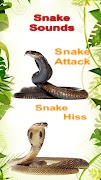 Snake Sounds Effects Simulator 截图 1