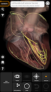 برنامه‌نما Anatomy 3D Atlas عکس از صفحه