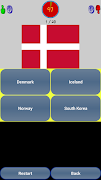Flags Quiz 截图 1