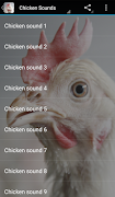 Chicken Sounds poster