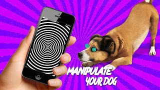 برنامه‌نما Real Hypnotizer For Dogs عکس از صفحه