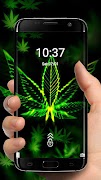 برنامه‌نما Weed Rasta Theme عکس از صفحه