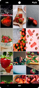 Strawberry Wallpapers 截圖 4