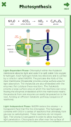 Run Through Photosynthesis screenshot 5