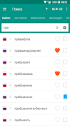 Russian-Czech dictionary poster