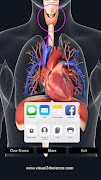 Respiratory System Anatomy تصوير الشاشة 7