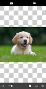 Transparent Image скриншот 2