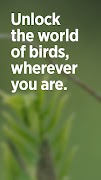 Audubon Bird Guide poster