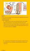 Biology Notes Ekran Görüntüsü 5