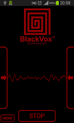 BlackVox 2 Reverb Noise Box plakat