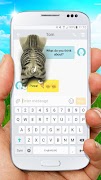 Funny walking cat screenshot 6