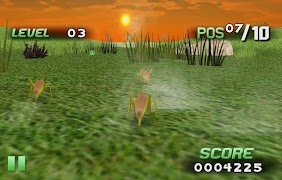 Insect Race ภาพหน้าจอ 7