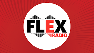 FLEX RADIO screenshot 2