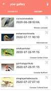 Bird Identification স্ক্রিনশট 4
